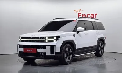 Hyundai Santafe · 2024 год