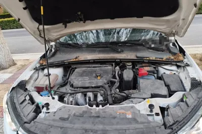 Ford Escort 2021, 38200 км, за 7798 USD - фото 21
