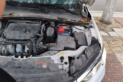 Ford Escort 2021, 38200 км, за 7798 USD - фото 22