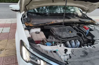 Ford Escort 2021, 38200 км, за 7798 USD - фото 23