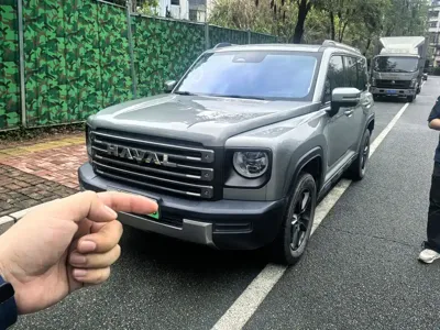 Haval Menglong New Energy · 2024 год