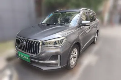 SWM G05 · 2019 год
