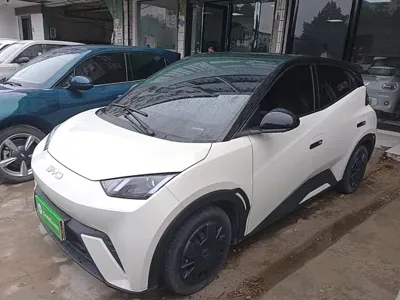 BYD Seagull · 2025 год
