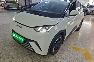 BYD Seagull · 2023 год