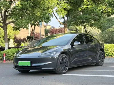 Tesla Model 3 · 2025 год