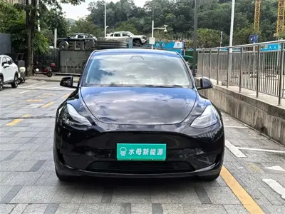 Tesla Model Y 2022, 51000 км, за 23917.69 USD