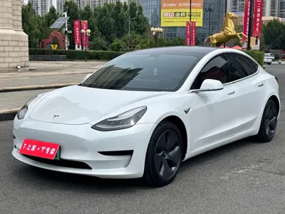Tesla Model 3 · 2020 год