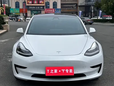Tesla Model 3 2020, 51000 км, за 17039.1 USD