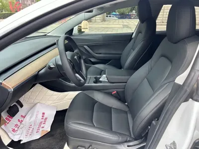 Tesla Model 3 2020, 51000 км, за 17039.1 USD