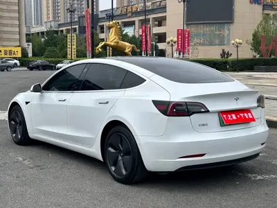 Tesla Model 3 2020, 51000 км, за 17039.1 USD - фото 10