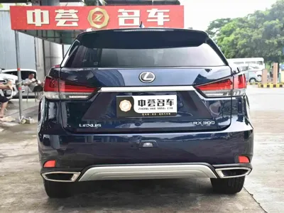 Lexus RX 2020, 80000 км, за 30972.52 USD - фото 15