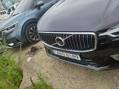 Volvo XC60 · 2020 год