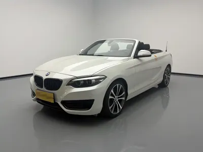 BMW 2 Series (Import) · 2020 год