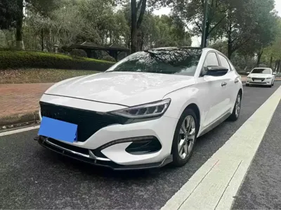 Hyundai Fista · 2019 год