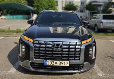 Hyundai Palisade · 2024 год