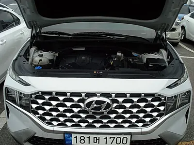 Hyundai Santafe 2021, 169452 км, за 11171.35 USD - фото 6