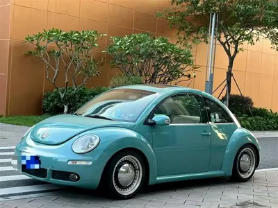 Volkswagen Beetle · 2010 год