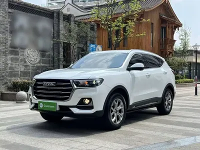 Haval H6 · 2022 год