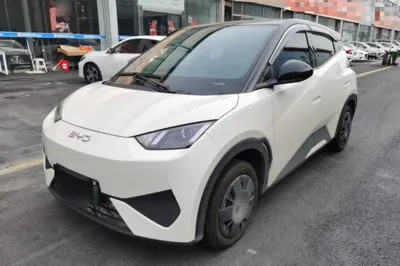BYD Seagull · 2025 год