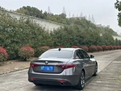 Alfa Romeo Giulia 2020, 80000 км, за 14449.4 USD - фото 9