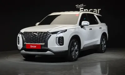Hyundai Palisade · 2019 год