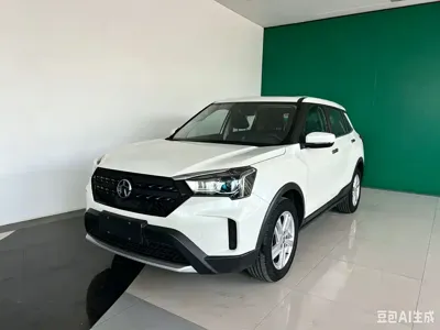 Venucia T60 · 2020 год