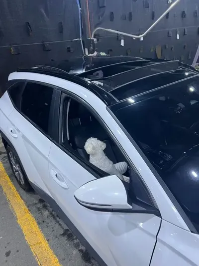 Hyundai Tucson 2021, 36000 км, за 15302.46 USD
