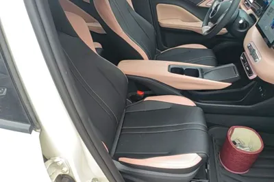 BYD Seagull 2025, 100 км, за 10659 USD - фото 19