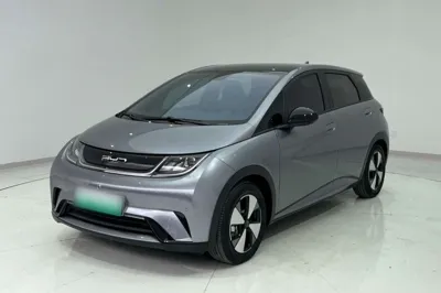 BYD Dolphin · 2023 год