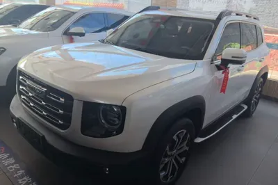 Haval Dargo · 2021 год