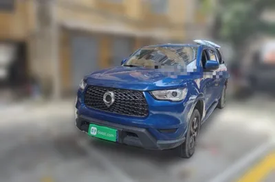 Great Wall Poer · 2021 год