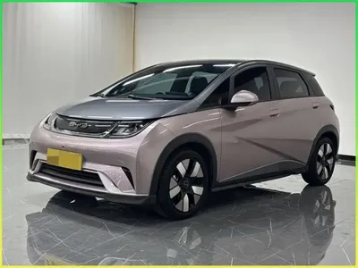 BYD Dolphin · 2022 год