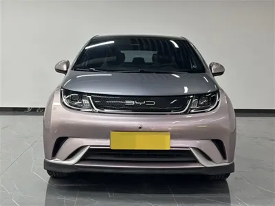 BYD Dolphin 2022, 34900 км, за 8813.84 USD