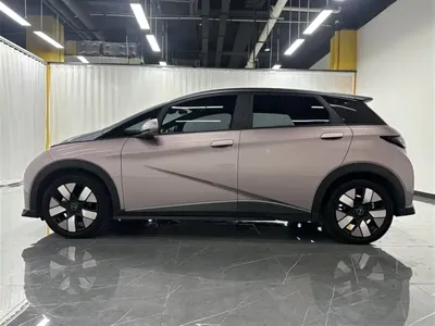 BYD Dolphin 2022, 34900 км, за 8813.84 USD
