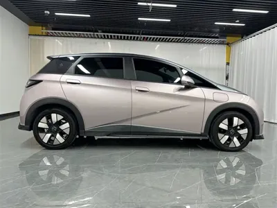 BYD Dolphin 2022, 34900 км, за 8813.84 USD - фото 6