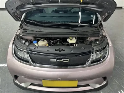 BYD Dolphin 2022, 34900 км, за 8813.84 USD - фото 11