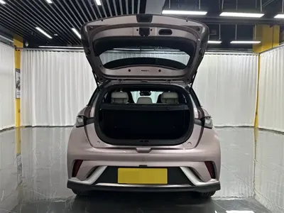 BYD Dolphin 2022, 34900 км, за 8813.84 USD - фото 12