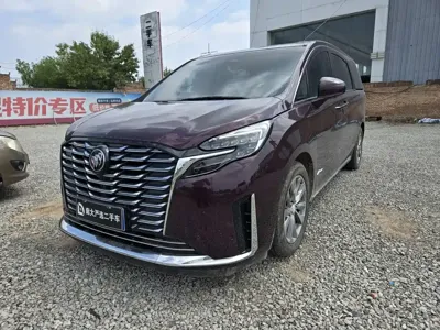 Buick GL8 · 2024 год