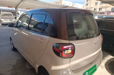 Xiaohu EV 2021, 25900 км, за 5134 USD