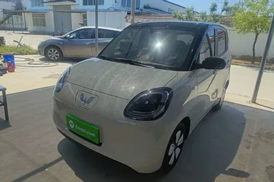 Wuling Hongguang MINIEV · 2025 год