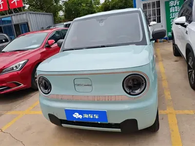 Galaxy Panda 2023, 45000 км, за 4633.36 USD
