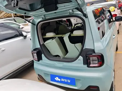 Galaxy Panda 2023, 45000 км, за 4633.36 USD