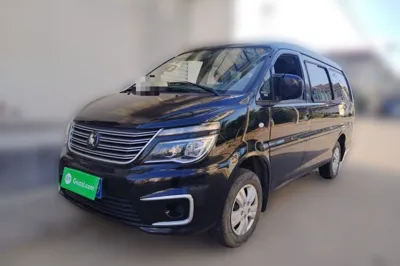 Forthing Lingzhi · 2022 год