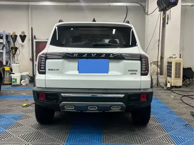 Haval Big Dog 2021, 40000 км, за 8769.69 USD - фото 15