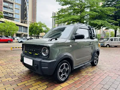 Galaxy Panda 2025, 6600 км, за 5267.7 USD