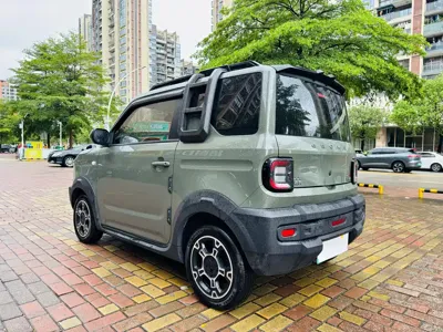Galaxy Panda 2025, 6600 км, за 5267.7 USD - фото 15
