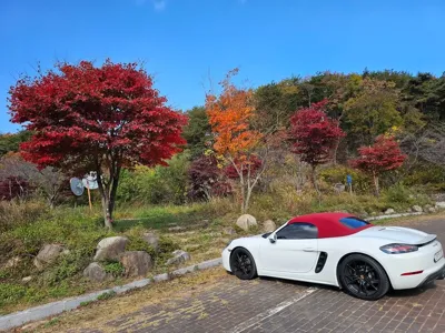 Porsche 718 2020, 40000 км, за 45504.76 USD