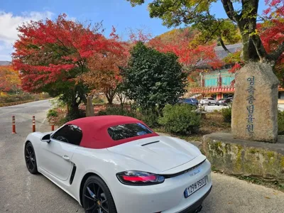 Porsche 718 2020, 40000 км, за 45504.76 USD