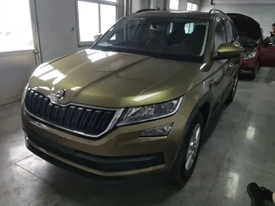 Skoda Kodiaq · 2017 год