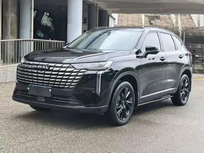 Haval H6 · 2024 год